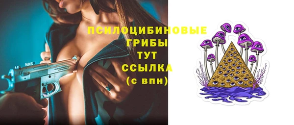 стафф Белокуриха