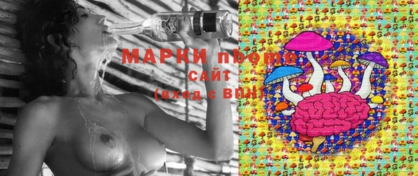 стафф Белокуриха