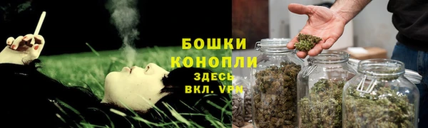 стафф Белокуриха